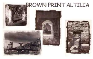 LANTICO-TORNA-ANTICO-CON-BROWN-PRINT-ALTILIA