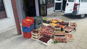 sequestro frutta