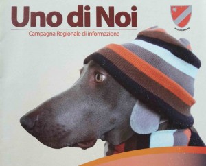 fido-unodinoi-e1462440536557-800x644